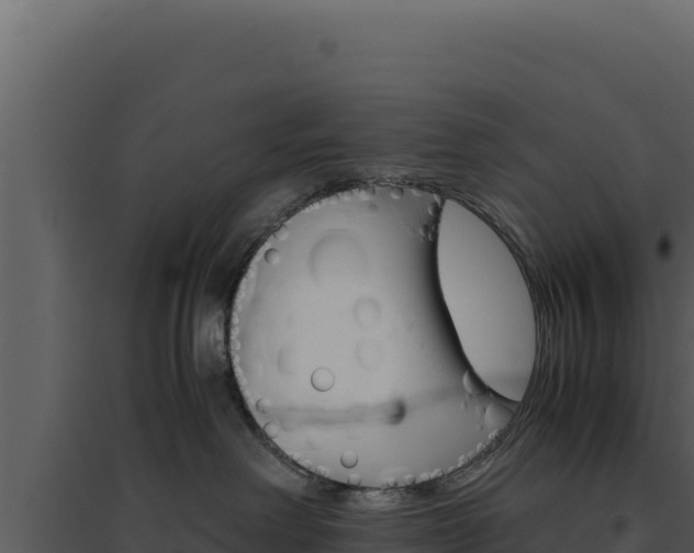 X0000094820238200711161036