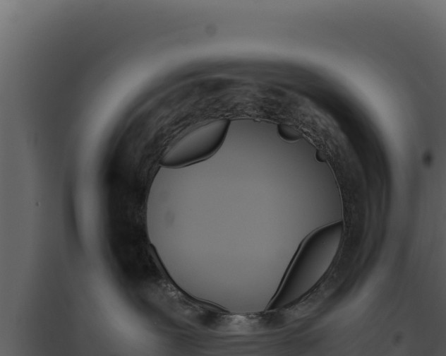 X0000094820239200711161036