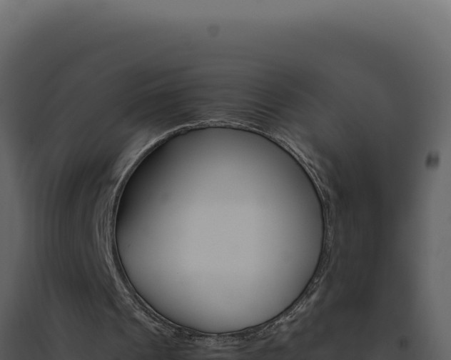 X0000094820241200711161035