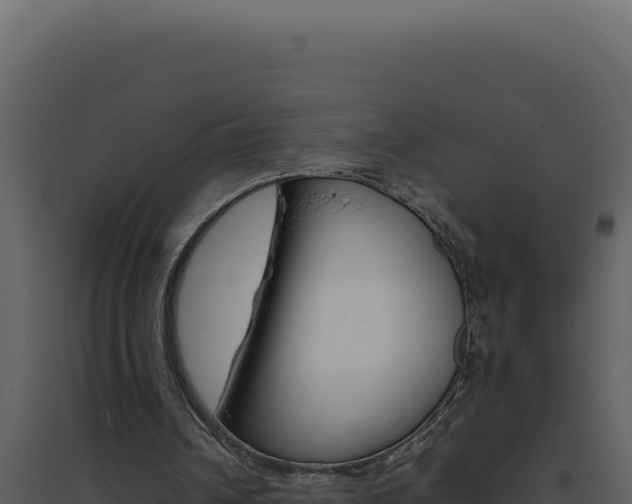 X0000094820242200711161035