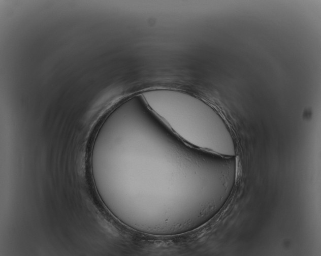 X0000094820243200711161035