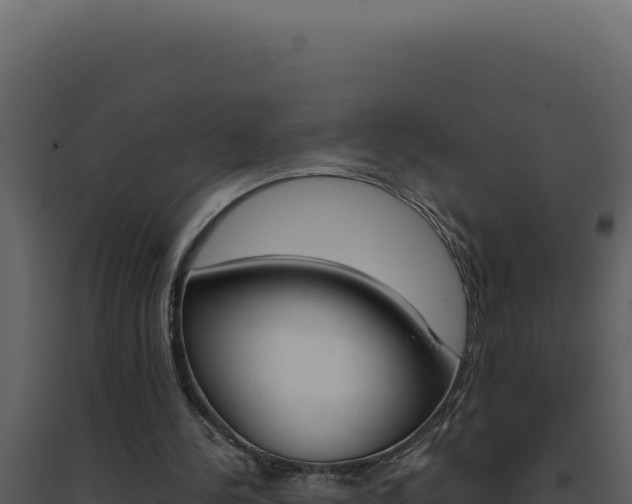 X0000094820244200711161035
