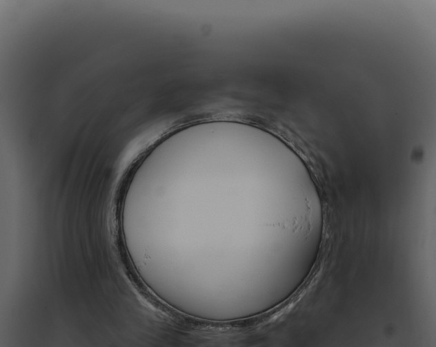 X0000094820245200711161035