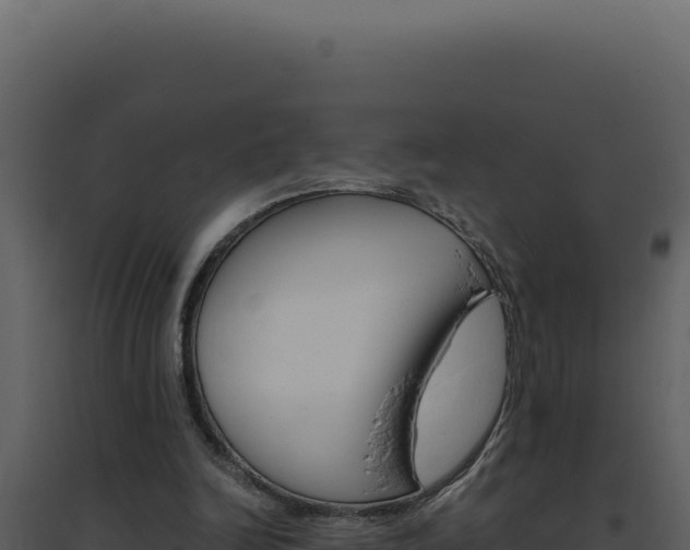 X0000094820246200711161035