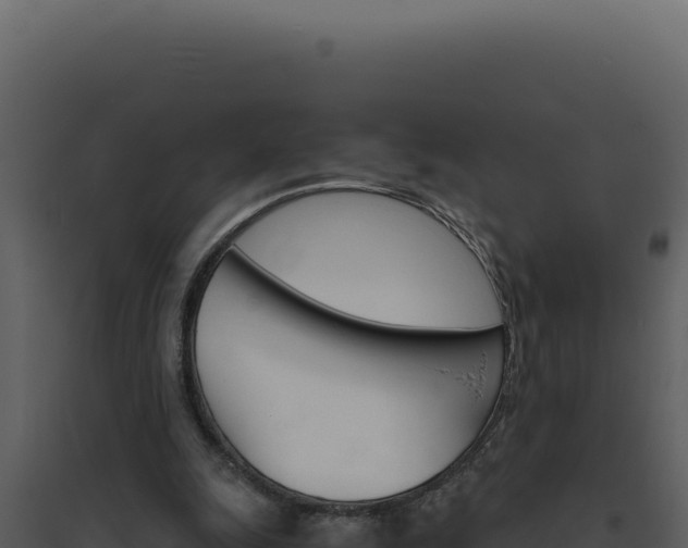 X0000094820247200711161035
