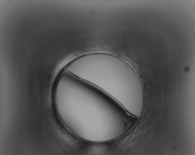X0000094820248200711161035