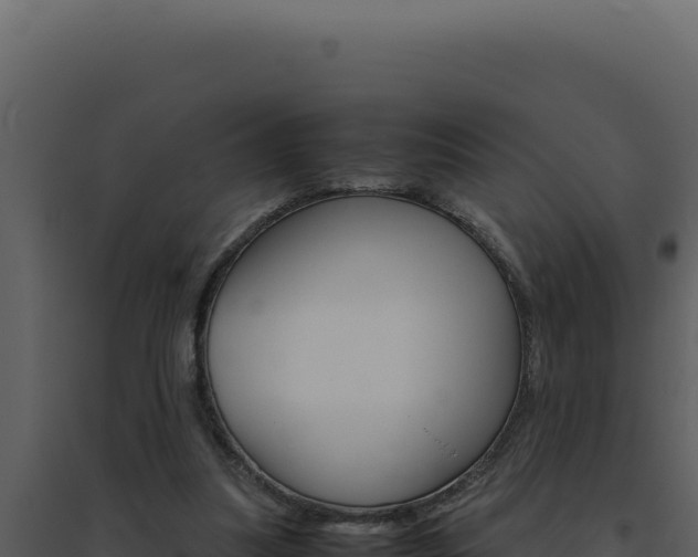 X0000094820251200711161035