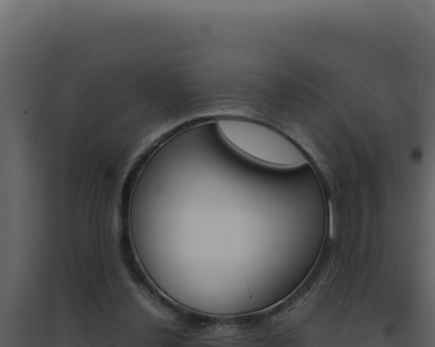 X0000094820252200711161035