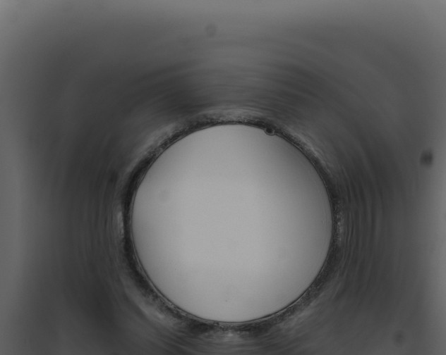 X0000094820254200711161035