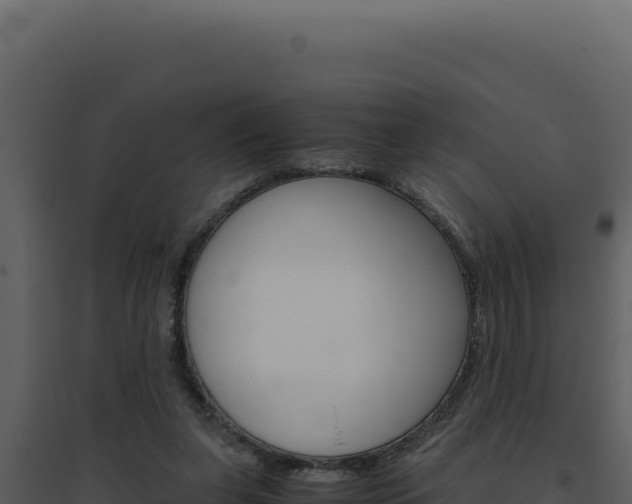X0000094820255200711161035