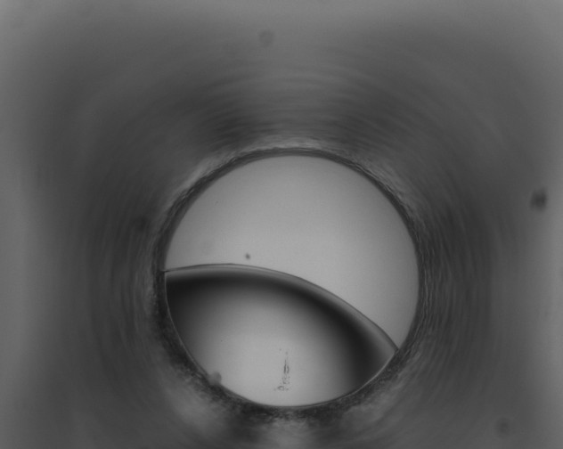 X0000094820256200711161035