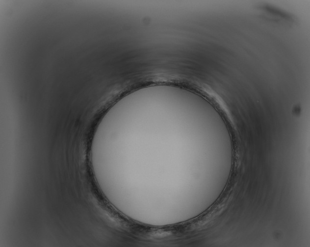 X0000094820257200711161035