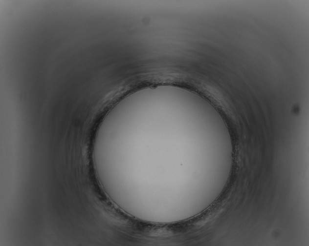 X0000094820258200711161035