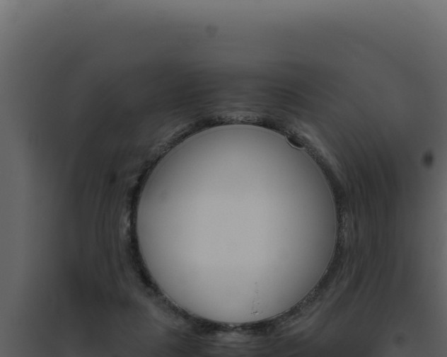 X0000094820259200711161035