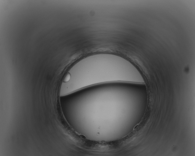 X0000094820260200711161035