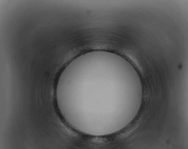 X0000094820261200711161035