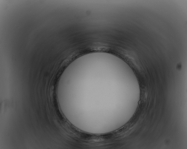 X0000094820263200711161035