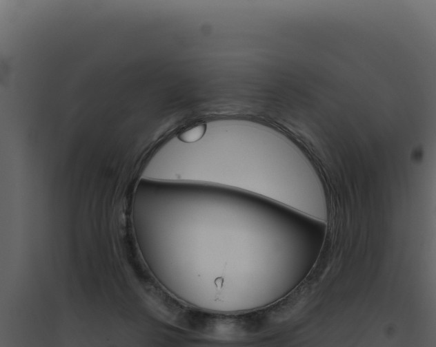X0000094820264200711161035