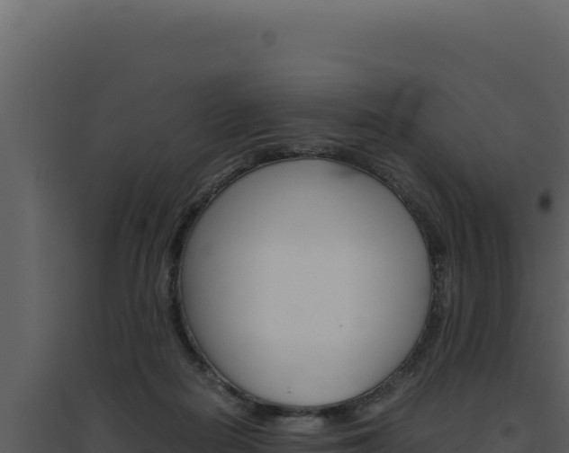 X0000094820266200711161035