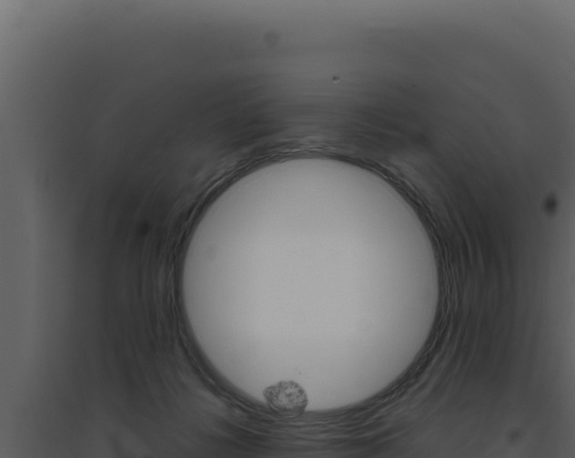 X0000094820268200711161035