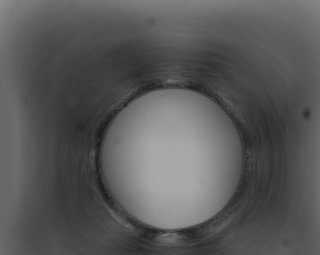 X0000094820269200711161035