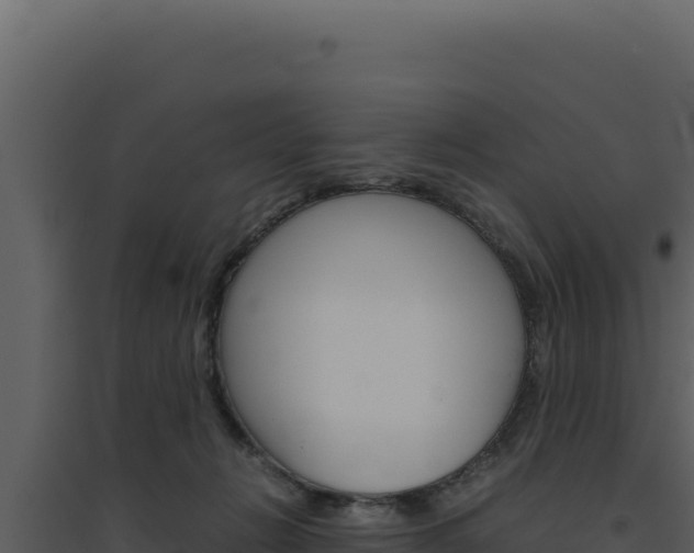 X0000094820270200711161035