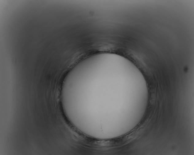 X0000094820273200711161035