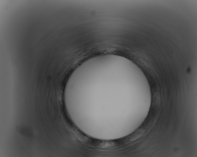 X0000094820274200711161035