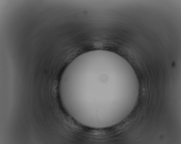 X0000094820275200711161035