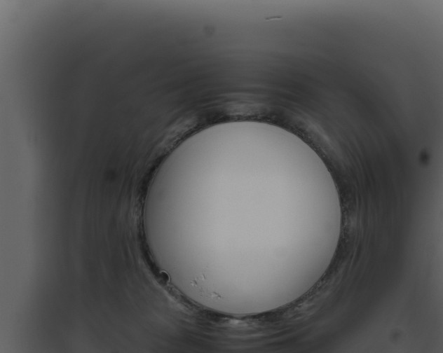 X0000094820277200711161035