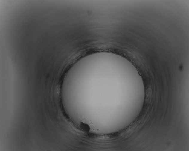 X0000094820278200711161036