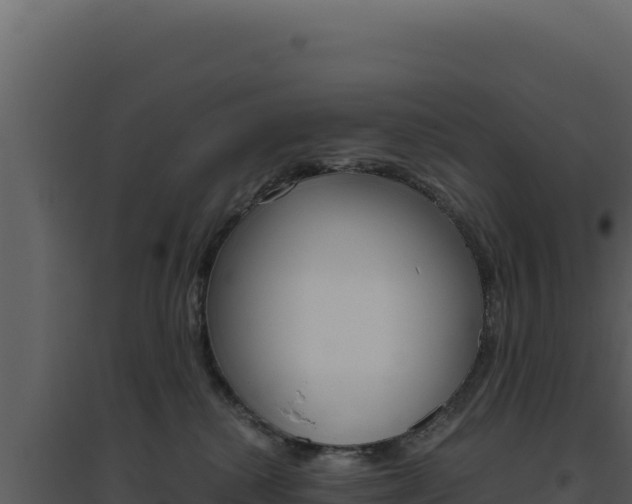 X0000094820280200711161036