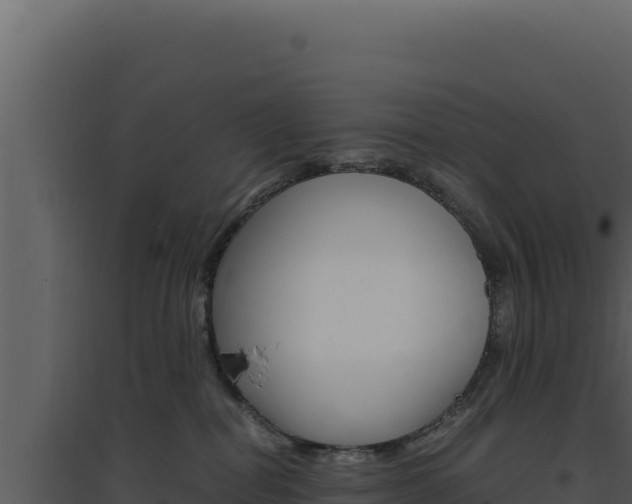 X0000094820282200711161036