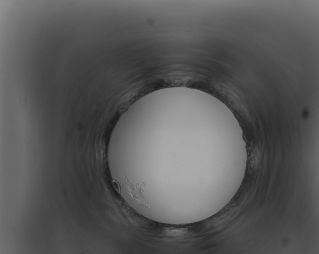 X0000094820283200711161036