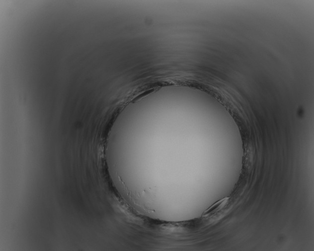 X0000094820284200711161036