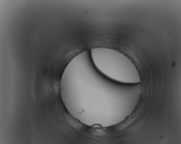 X0000094820285200711161036