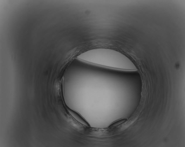 X0000094820288200711161036