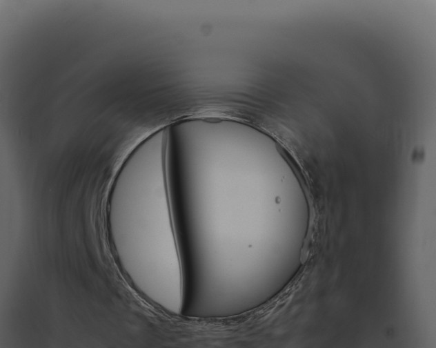 X0000094820289200711161035