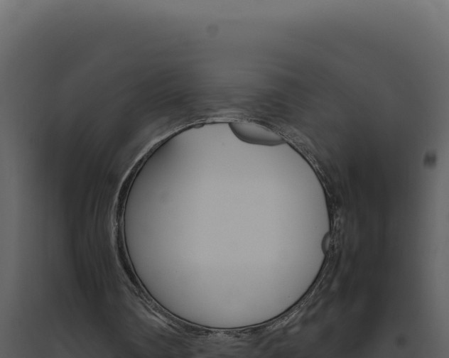 X0000094820290200711161035
