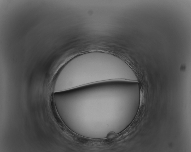 X0000094820291200711161035