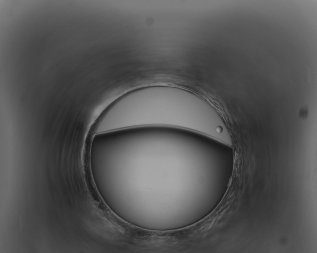 X0000094820292200711161035