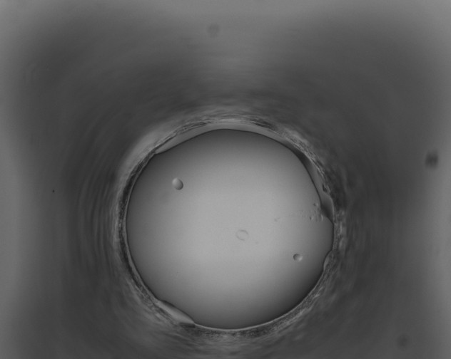 X0000094820293200711161035