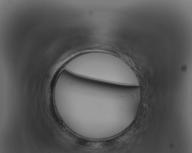 X0000094820295200711161035