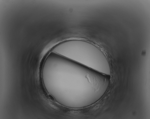 X0000094820296200711161035