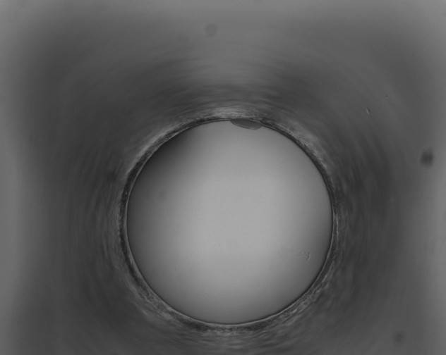 X0000094820297200711161035