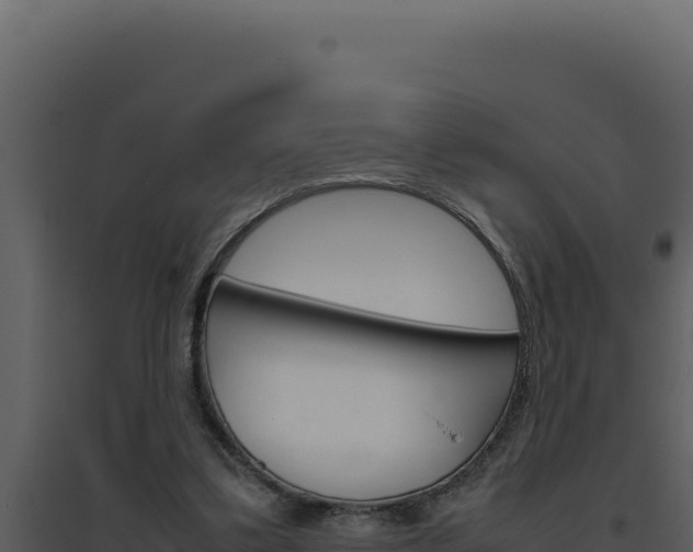 X0000094820299200711161035