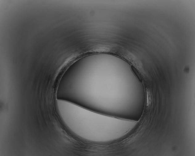X0000094820300200711161035