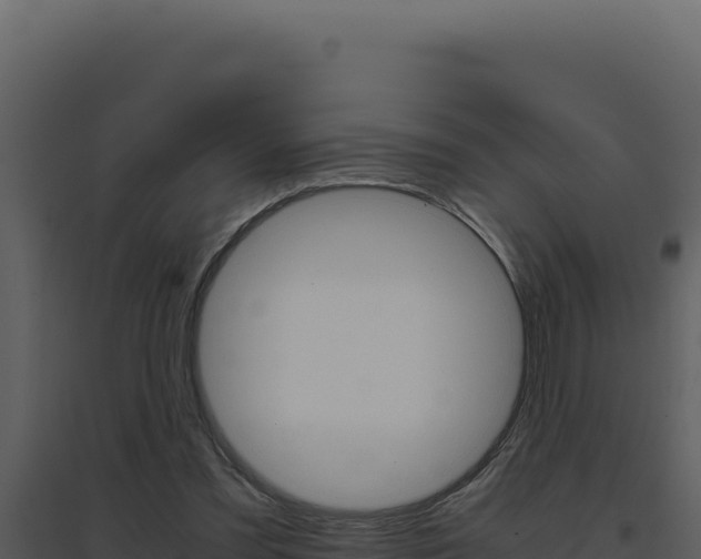 X0000094820301200711161035