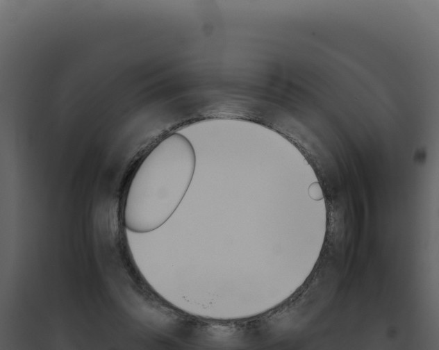 X0000094820302200711161035
