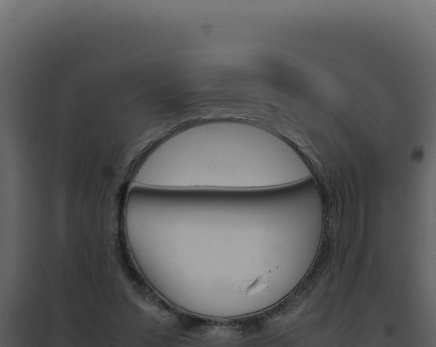 X0000094820303200711161035